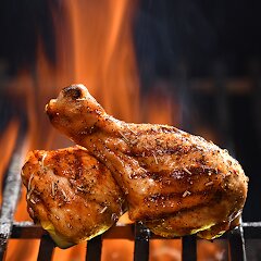 Barbecue Grill Recipes