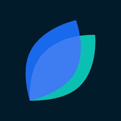 indi — Smart banking