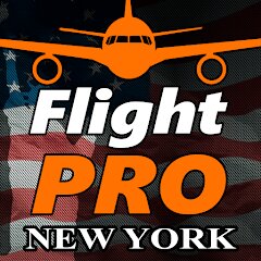 Pro Flight Simulator 2 