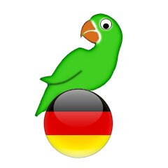 Learn German from scratch full