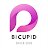 Bicupid