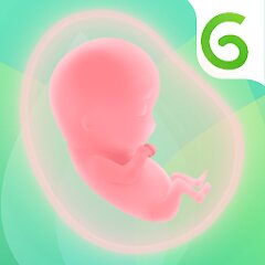 Glow Pregnancy & Baby Tracker