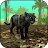 Wild Panther Sim 3D